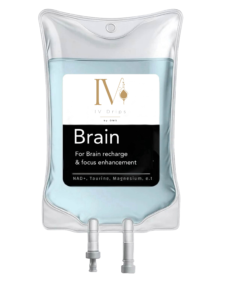 Brain